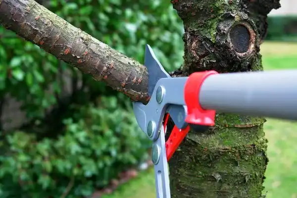 tree services Penn Estates